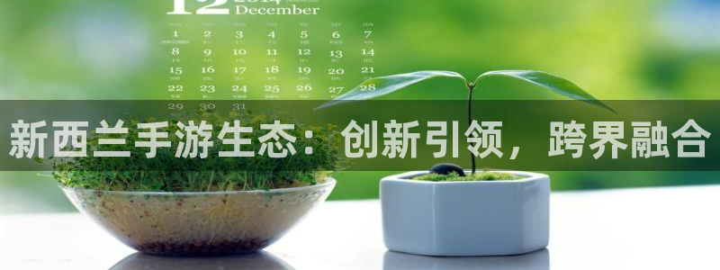 极悦娱乐老版本：新西兰手游生态：创新引领，跨界融合