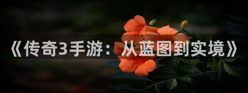 极悦娱乐官方版ios：《传奇3手游：从蓝图到实境》