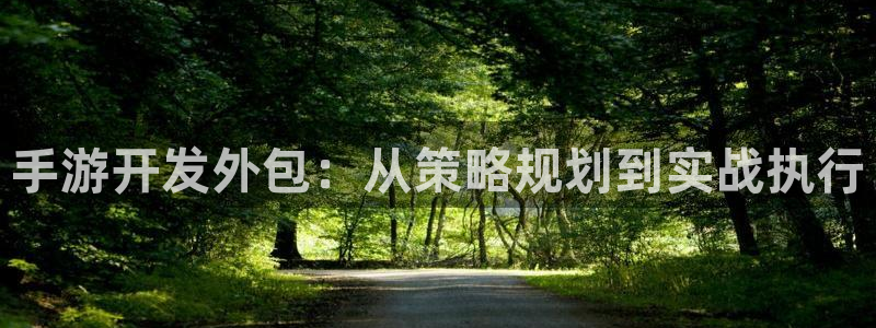 pc极悦娱乐预测官网下载地址：手游开发外包：从策略规划到实战