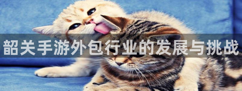 28加拿大大神下载：韶关手游外包行业的发展与挑战