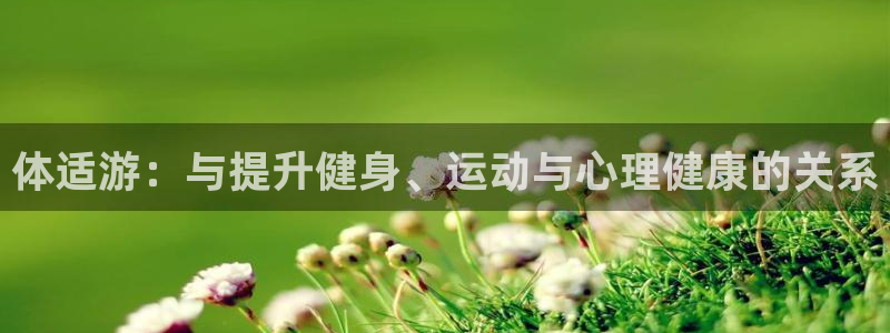 77体育