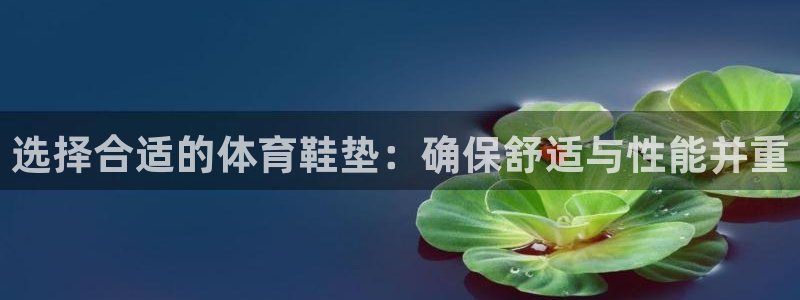 77体育app下载官网