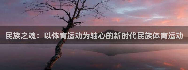 77体育官网