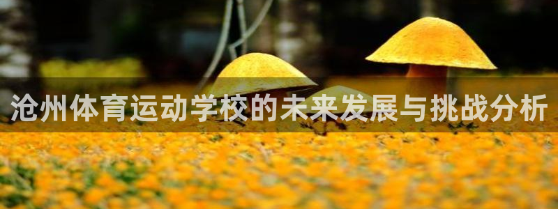 皇冠277体育