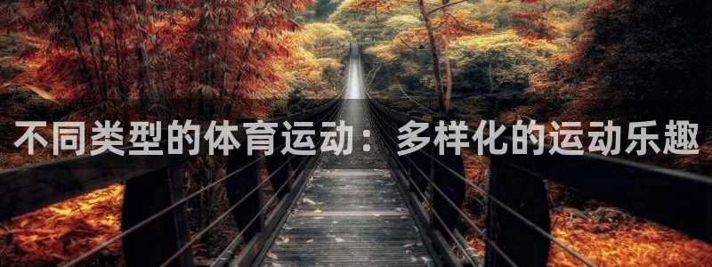 77体育官网