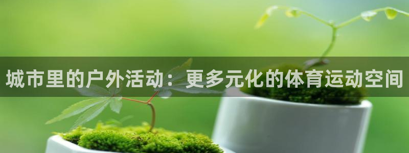 77体育app下载官网
