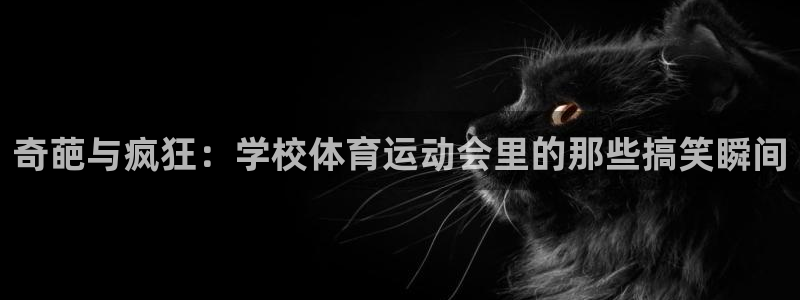 77体育官网