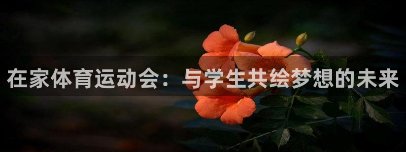 77体育官网