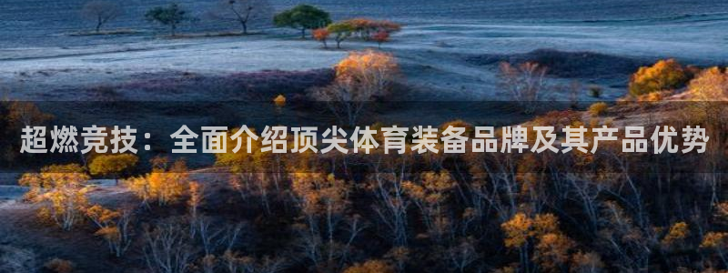 77体育app下载官网