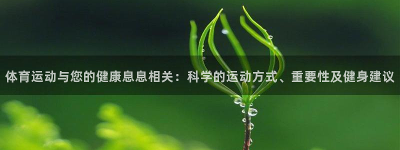 77体育