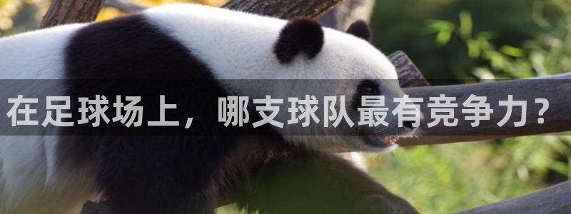 77体育官网