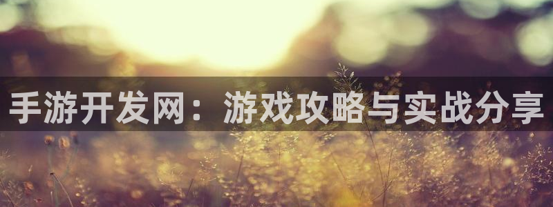 极悦娱乐软件不能用了：手游开发网：游戏攻略与实战分享